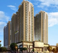 Thang máy dát 140 cây vàng đầu tiên ở Việt Nam